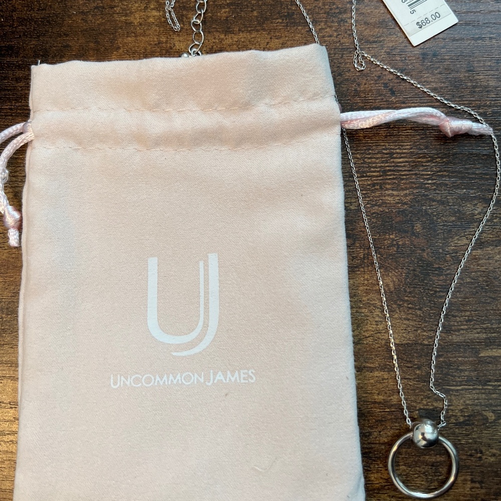 (New) Uncommon James Helix silver necklace